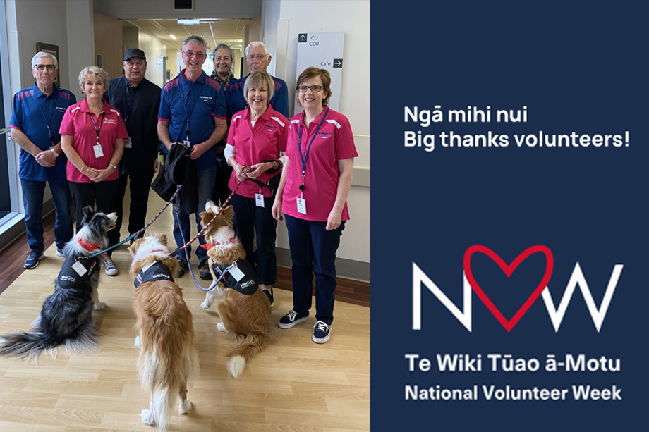 Volunteering opportunity at Tauranga and Whakatāne hospitals re-established